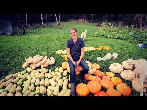 How to Grow, Cure and Store Amazing Squash | What Varieties I Grow