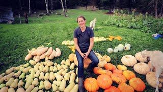 How to Grow, Cure and Store Amazing Squash | What Varieties I Grow