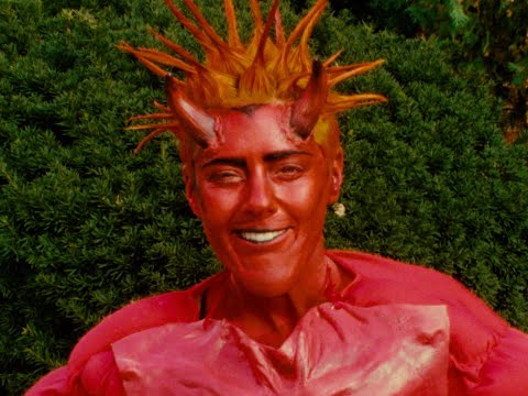 Jennifer Vanilla - Humility's Disease (Official Video)