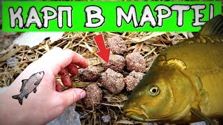 Ссылка