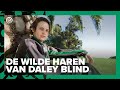ESPN DOC | De wilde haren van Daley Blind