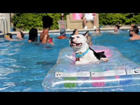 MRTN x SOIK - I'M ROLLIN'