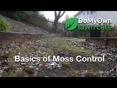  Basics of Moss Control & Soil Testing - Spring Lawn Care Video 