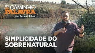 [NCDP] A SIMPLICIDADE DO SOBRENATURAL - Luciano Subirá