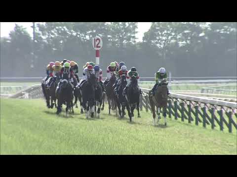 2019 Yushun Himba (Japanese Oaks) (G1)
