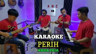 Download lagu PERIH KARAOKE ELVY SUKAESIH NADA PRIA mp3