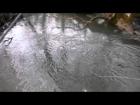 Szreniawa pierwszy dzień sezonu 2016