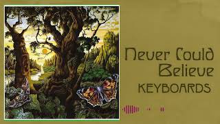 The Damned - Never Could Believe (Keyboards Track)