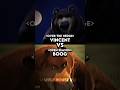 Vincent (Over The Hedge) VS Boog (Open Season)