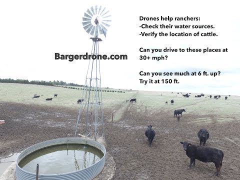 Drones find cattle, check water and herd cattle.