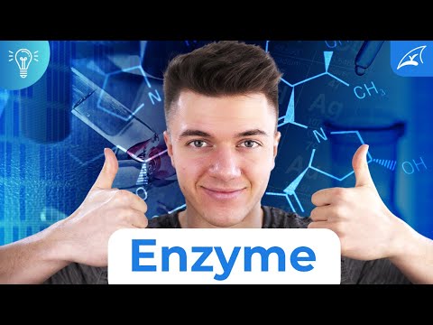 THIS is how you remember (almost) ALL biochemical enzymes!