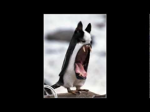 Adrian Lee,,Lillbooya - In Love With Bobby Day  - Good Morning World - Mmmmhhhh (Long Vehicle Remix)