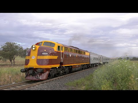 Diesel locomotives 4204+42103 Golden West Tour