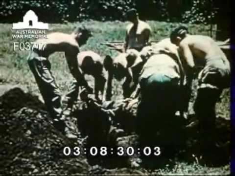 Tropical Trials in Northern and Central Australia Part 2 Tractor Heavy Recovery FV1119(A)