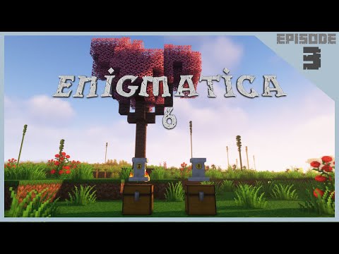 Enigmatica 6  |  [E3] - EASY Early Game Ore Doubling With Pedestals!