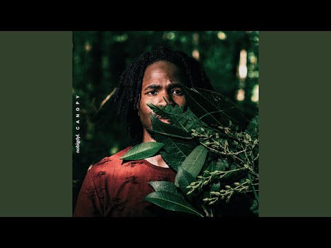 Thumbnail for Siblings video