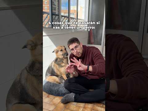 Esto te pasará si tienes perro