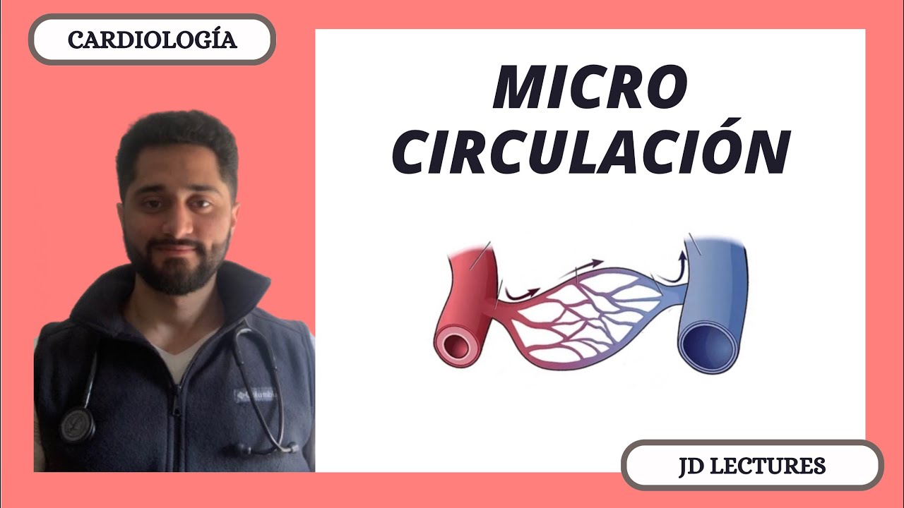 MICROCIRCULACIÓN | CARDIOLOGÍA