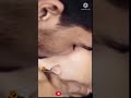 Latest Hot Bhojpuri Actress Kissing Video Lovely Movement In Bollywood Scene