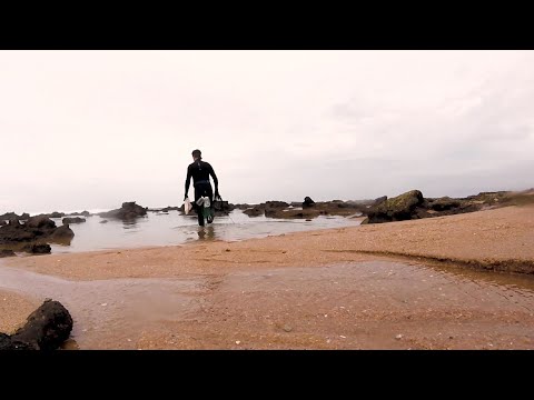 Hunting for beautiful fish in rock pools!