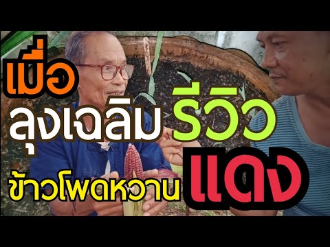 เลือกยาเสพติดเพื่อเพิ่มความแข็งแรง ผู้ชายโยนลงมาจากสมาชิกที่มีขนาดเล็ก