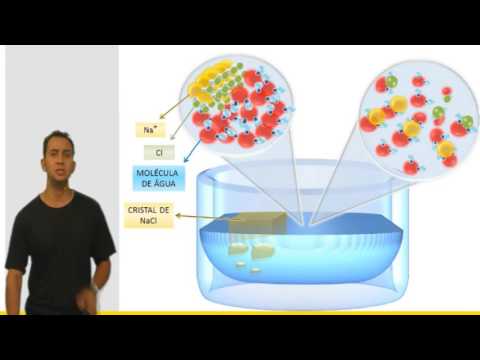 A Composição Química da Célula