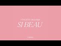 Vincent Delerm - Si beau (lyrics video)