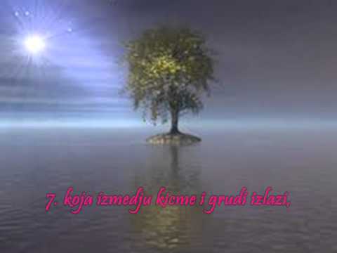 Sheikh Mishary Rashed; Sura Danica; At-Tariq; prevod na bosanskom jeziku