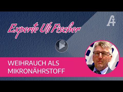 Expertengespräch mit Uli Fischer: Schmerztherapie und Weihrauch H15