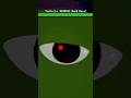 Floating Turtle ️ Roblox Bloxfruits