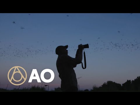 Best Place to See Bats Fly | Merlin Tuttle "How to Save Bats" - Atlas Obscura