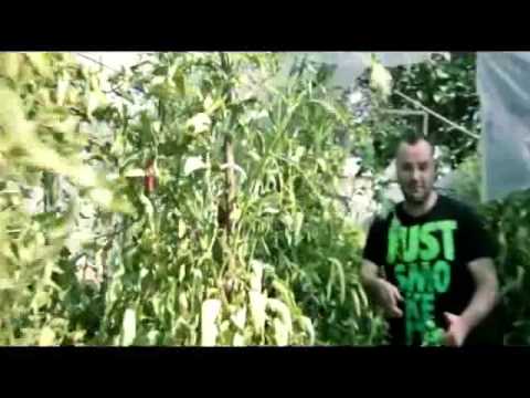 IGI Androvski, Pesho Malkia  Dim4ou   Statusa OFFICIAL VIDEO 2012)