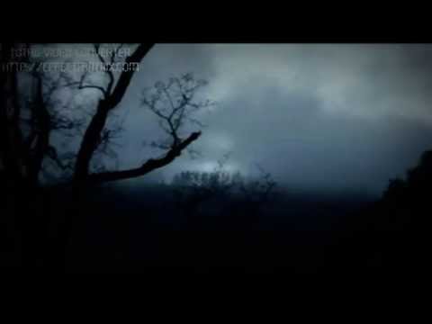 Fox & Sajfer ft. Sedž -Hladna noc (text)