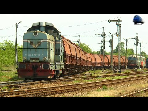 LDH1250 80-0489-2 în Acțiune/in Action in Gara Valea lui Mihai Station - 28 May 2021