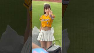 【Passion Sisters】#夏蕾的#張世綸應援曲#台湾チアリーディングチーム#中華職棒#CPBL#樂天桃園球場#20241110（12強熱身賽）