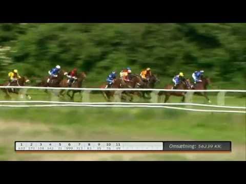 2014.06.14 Dansk Breeders Cup - Whistler