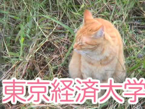 しりとり