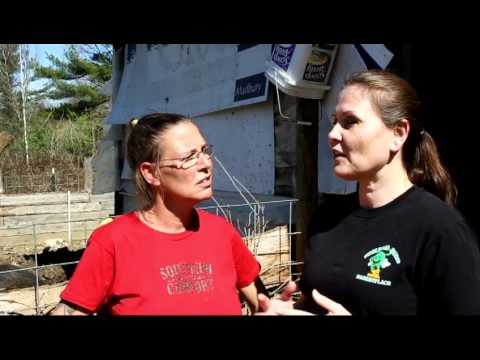 Fiddlehead Features - Earth Day 2012