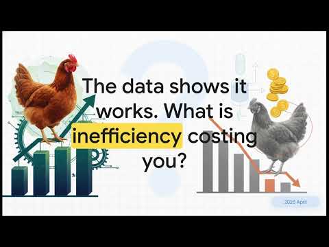 DV Animals - Optimization in Poultry Farming