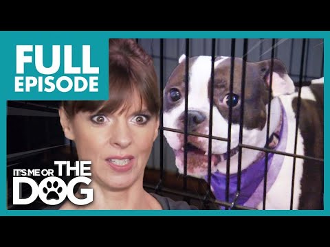 Loudest Dogs Ever are Kept in Cages ALL DAY!😢 | Full Episode | It's Me or The Dog