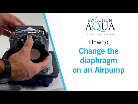 How to change the diaphragm on an Airpump