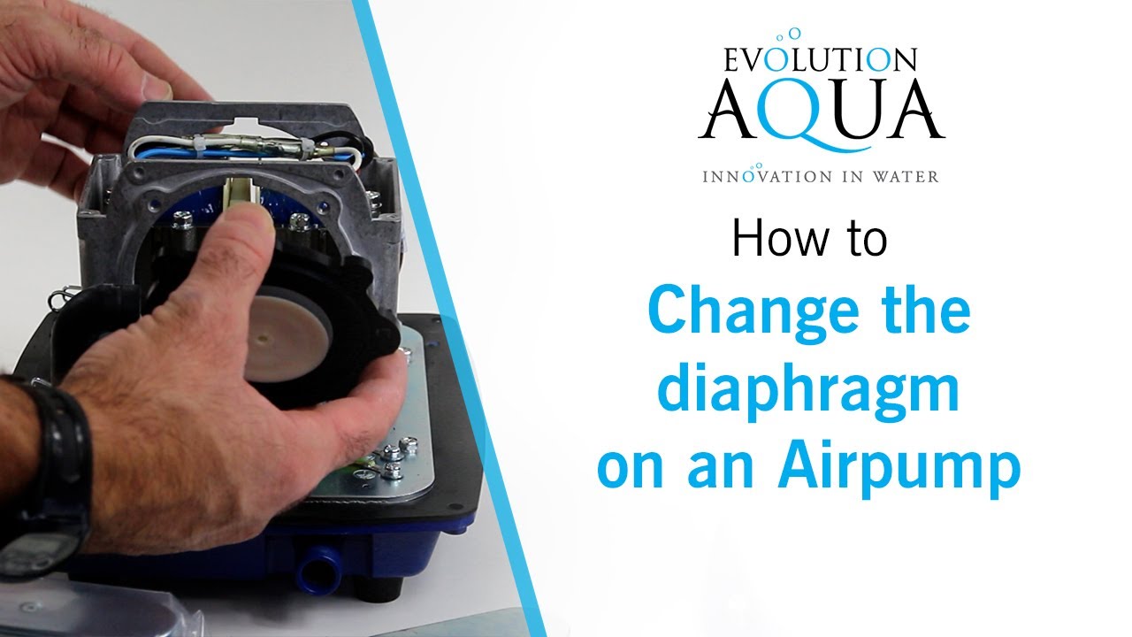 How to change the diaphragm on an Airpump