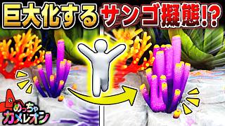 【めっちゃカメレオン】サンゴに擬態してだんだん巨大化させた結果...