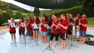 preview picture of video 'Cold-Water Challenge 2014 Musikverein Lohrhaupten'