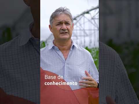 Decisões que Fazem História - Pílula 4