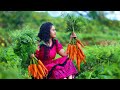 Carrot Harvest For Boondi Laddu Chicken Masala Fried Rice Too Poorna The Nature Girl