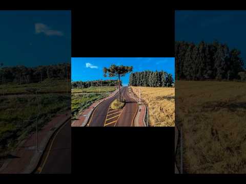 PATO BRANCO / PARANÁ