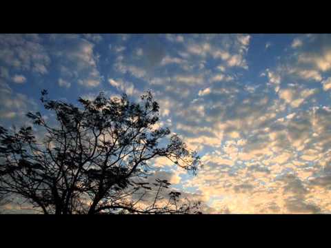 J. F. Fasch - Concerto for lute in D minor [FWV L:d 2]