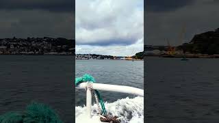 Norwegian Dawn & Regal Princess in Ireland #cruise