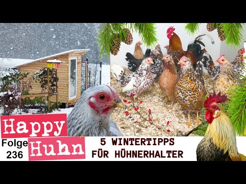 , title : 'Die 5 besten Winter-Tipps für Hühnerhalter! Hühnerstall heizen und lüften, Fütterung HAPPY HUHN E236'